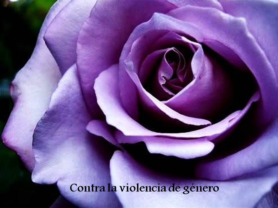 Rosa contra la violencia de género. Juani Mesa Expósito. Doctora en Psicología. Sexóloga.