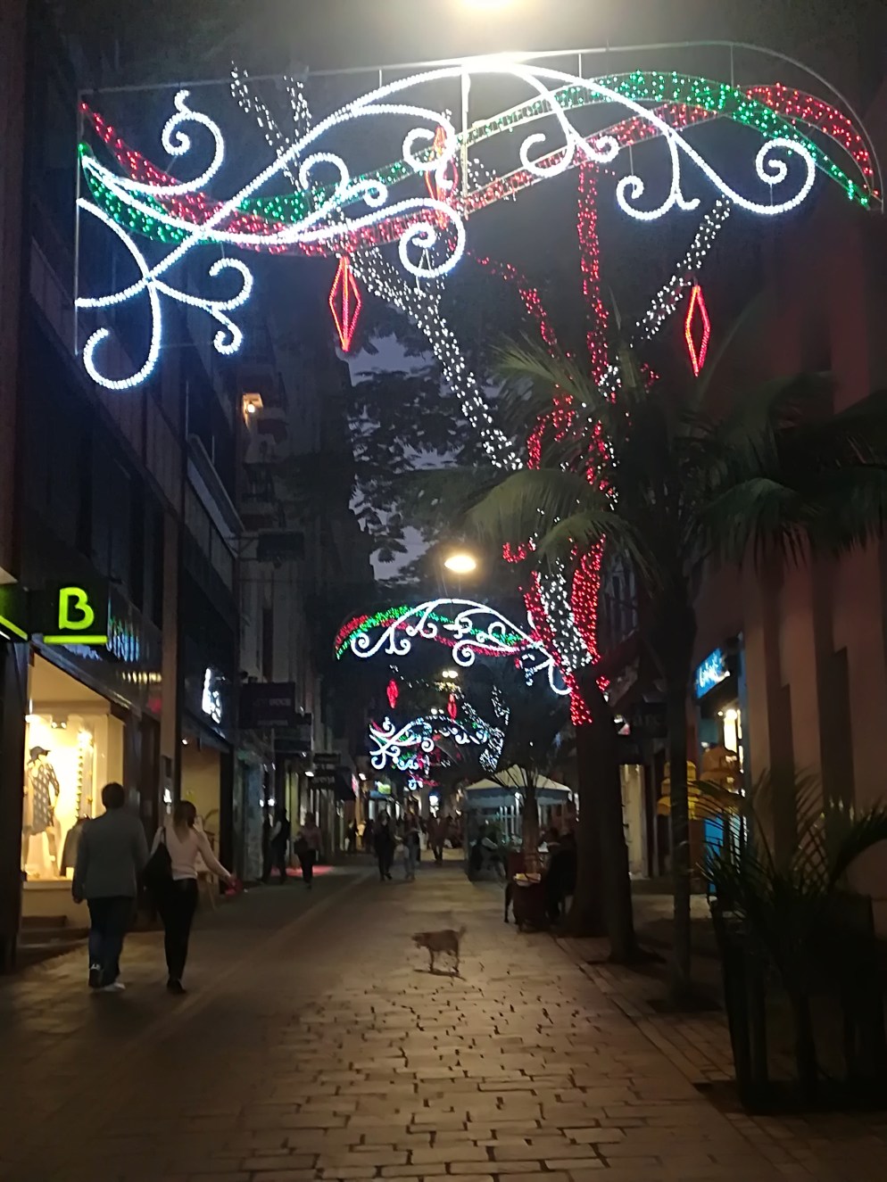 La Navidad, fiesta donde se nos remueven los sentimientos: con soledades y ausencias. Saberlas gestionar forma parte de la Inteligencia Emocional.